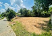 11P Land For Sale