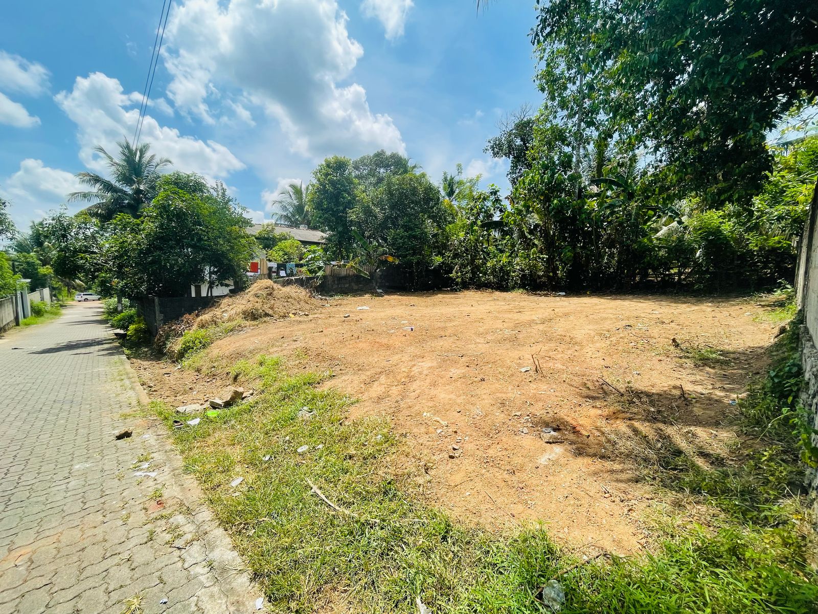 11P Land For Sale